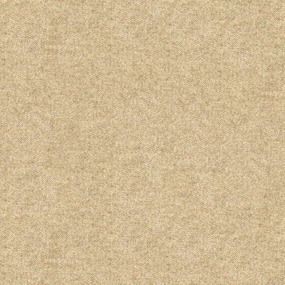 BRUNSCHWIG & FILS - CHEVALIER WOOL - OATMEAL