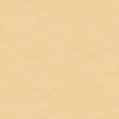 BRUNSCHWIG & FILS - CHEVALIER WOOL - CREAM