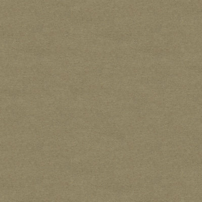 BRUNSCHWIG & FILS - CHEVALIER WOOL - GREIGE