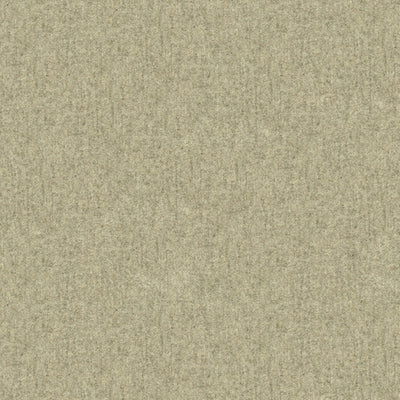 BRUNSCHWIG & FILS - CHEVALIER WOOL - ASH