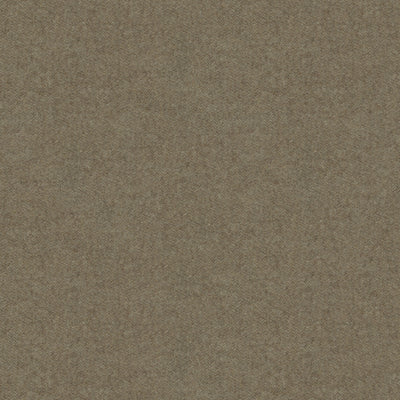 BRUNSCHWIG & FILS - CHEVALIER WOOL - DRIFTWOOD