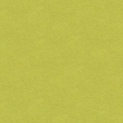 BRUNSCHWIG & FILS - CHEVALIER WOOL - PERIDOT