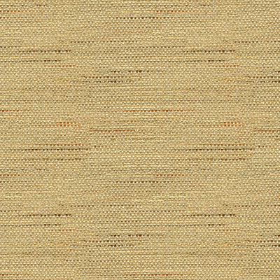 KRAVET BASICS - 33135-1611