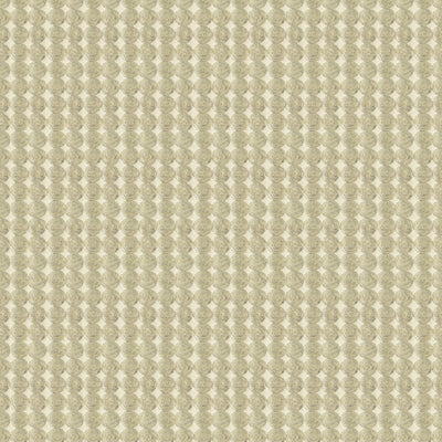 KRAVET COUTURE - RARE COIN - PLATINUM