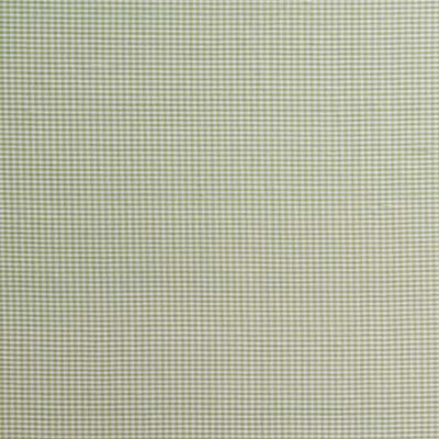 SCHUMACHER FABRICS -3449000-DALTON SILK GINGHAM