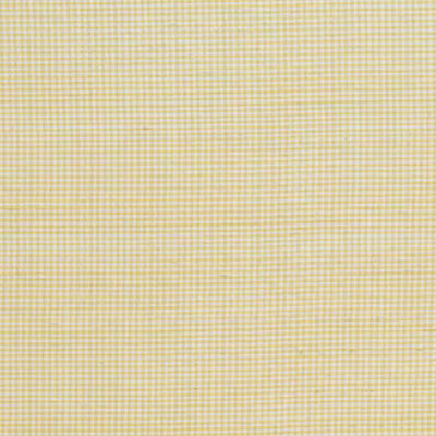 SCHUMACHER FABRICS -3449001-DALTON SILK GINGHAM