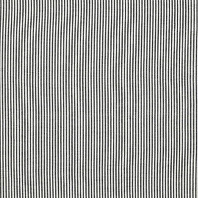 SCHUMACHER FABRICS -3474003-BAILEY SEERSUCKER