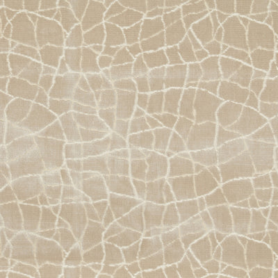 KRAVET COUTURE - FORMATION - CHAMPAGNE