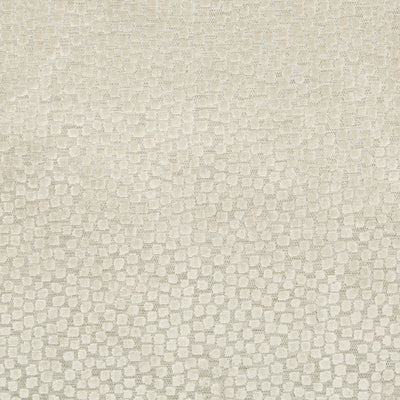 KRAVET FABRICS - BECOMING - STONE
