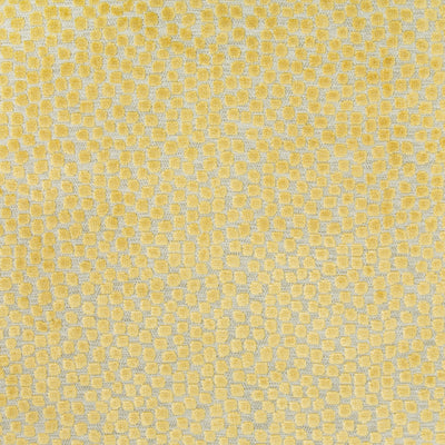 KRAVET DESIGN - FLURRIES - CITRINE