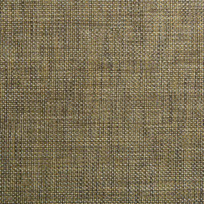 KRAVET FABRICS - 34926-411