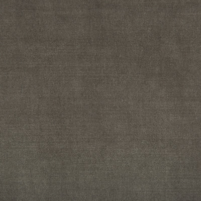 KRAVET SMART - CHESSFORD - SHARK