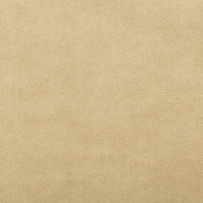 KRAVET FABRICS - MADISON VELVET - SANDALWOOD