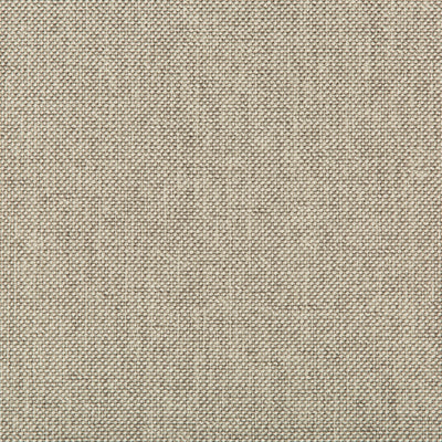 KRAVET FABRICS - WILLIAMS - PUMICE