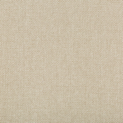 KRAVET FABRICS - WILLIAMS - COCONUT