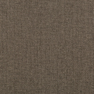 KRAVET FABRICS - WILLIAMS - PEWTER