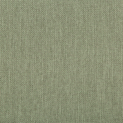 KRAVET FABRICS - WILLIAMS - SPEARMINT