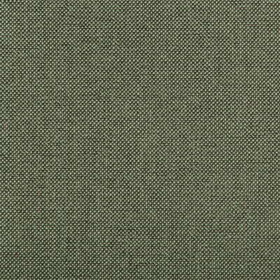 KRAVET FABRICS - WILLIAMS - PISTACHIO