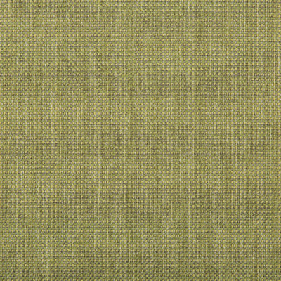 KRAVET FABRICS - BURR - MEADOW