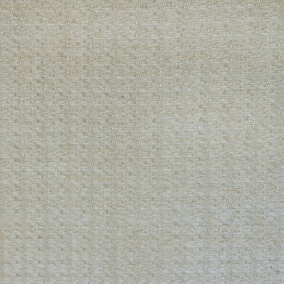 KRAVET COUTURE-ANKH CHENILLE-1