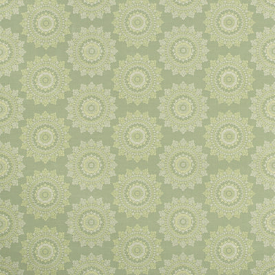 KRAVET FABRICS - PIATTO - ENDIVE