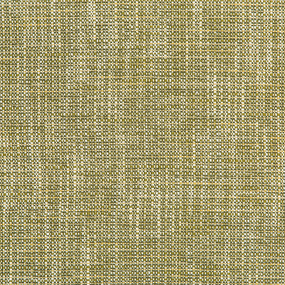 KRAVET FABRICS - RIVER PARK - MEADOW