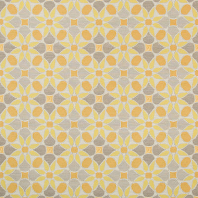 KRAVET FABRICS - TIEPOLO - CITRUS