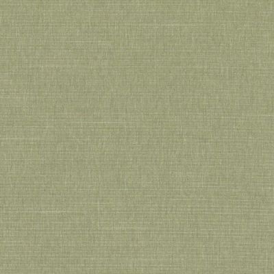 DURALEE FABRICS-DK61161 -597-GRASS