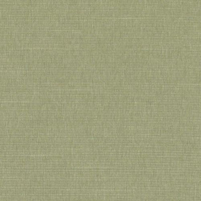 DURALEE FABRICS-DK61161 -597-GRASS