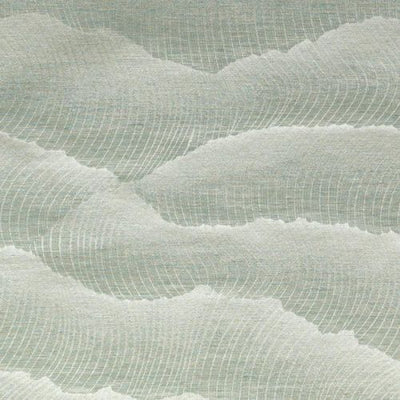 BAILEY & GRIFFIN FABRICS-BR61507 -24-CELADON