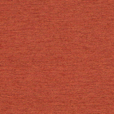 ROBERT ALLEN FABRICS-AERIAL ROW -PERSIMMON