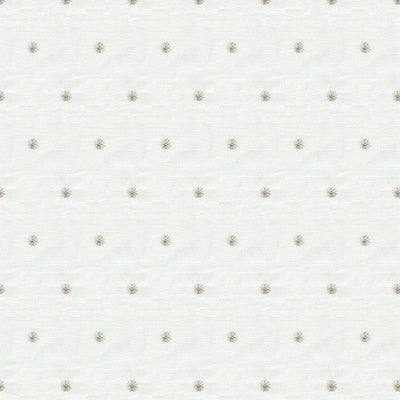 Kravet outlet Dotted Fabric