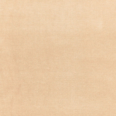 SCHUMACHER FABRICS -42700-GAINSBOROUGH VELVET