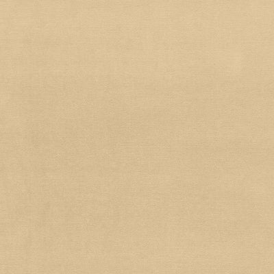SCHUMACHER FABRICS -42776-GAINSBOROUGH VELVET