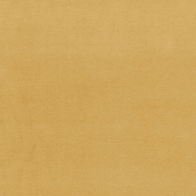 SCHUMACHER FABRICS -43247-GAINSBOROUGH VELVET