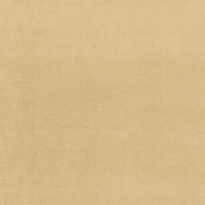 SCHUMACHER FABRICS -43248-GAINSBOROUGH VELVET