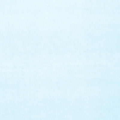 SCHUMACHER FABRICS -43257-GAINSBOROUGH VELVET