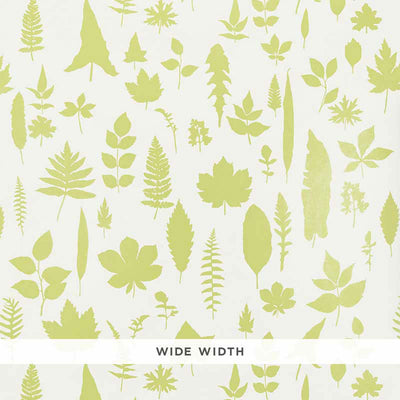 Schumacher Wallcovering - 5005021-Leaves - Chartreuse
