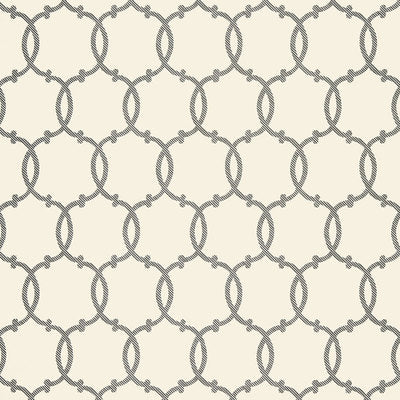 Schumacher Wallcovering - 5005121-Tracery - Charcoal