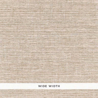 Schumacher Wallcovering - 5006330-Birch Weave - Driftwood