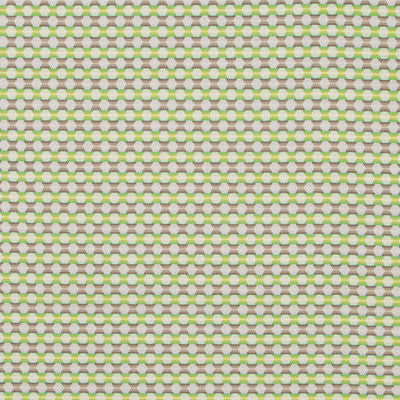ROBERT ALLEN FABRICS-PETAL GRID -LIME