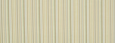 ROBERT ALLEN FABRICS-TAILORED EDGE -CITRON