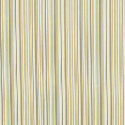 ROBERT ALLEN FABRICS-TAILORED EDGE -CITRON