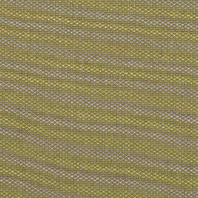 HIGHLAND COURT FABRICS-HU16244 -343-CACTUS