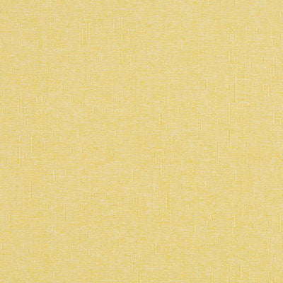 ROBERT ALLEN FABRICS-BOHO TEX BK -CITRINE