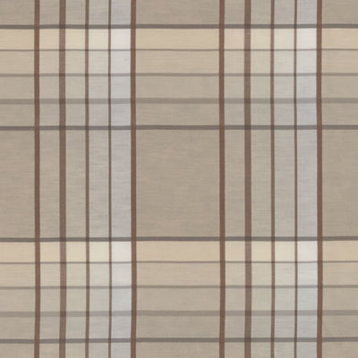 BAILEY & GRIFFIN FABRICS-BG61781 -531-NEUTRAL