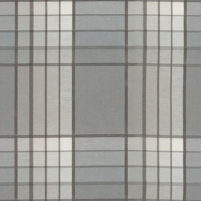 BAILEY & GRIFFIN FABRICS-BG61781 -173-SLATE