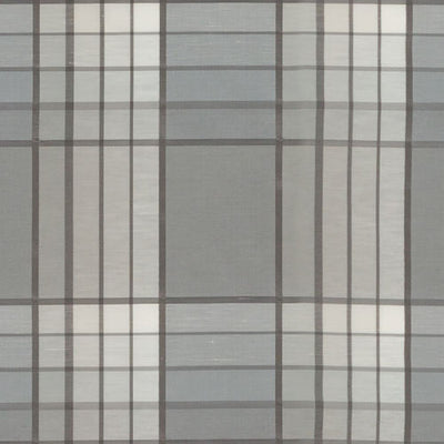 BAILEY & GRIFFIN FABRICS-BG61781 -173-SLATE