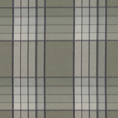 BAILEY & GRIFFIN FABRICS-BG61781 -257-MOSS