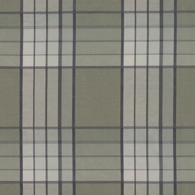 BAILEY & GRIFFIN FABRICS-BG61781 -257-MOSS